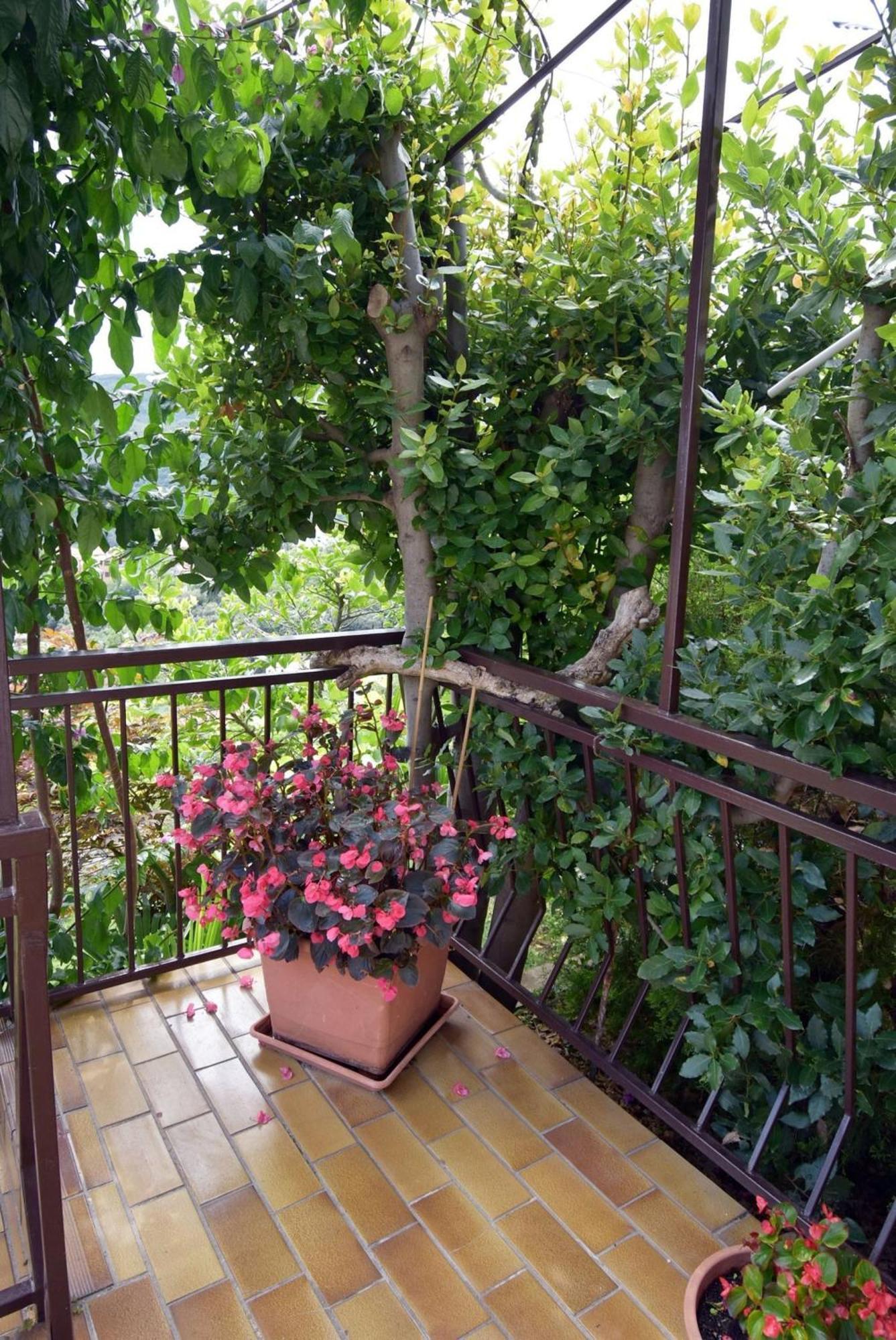 Apartment Neda In Rabac With Bay View 外观 照片